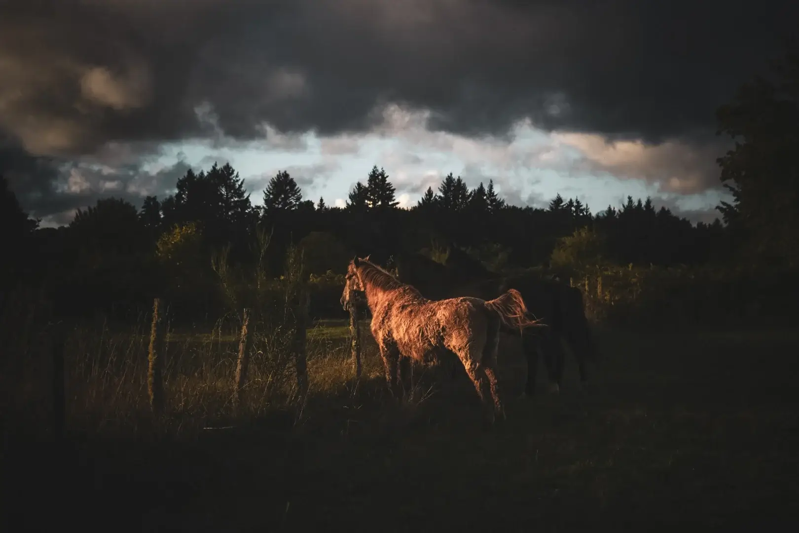 Photographie 12