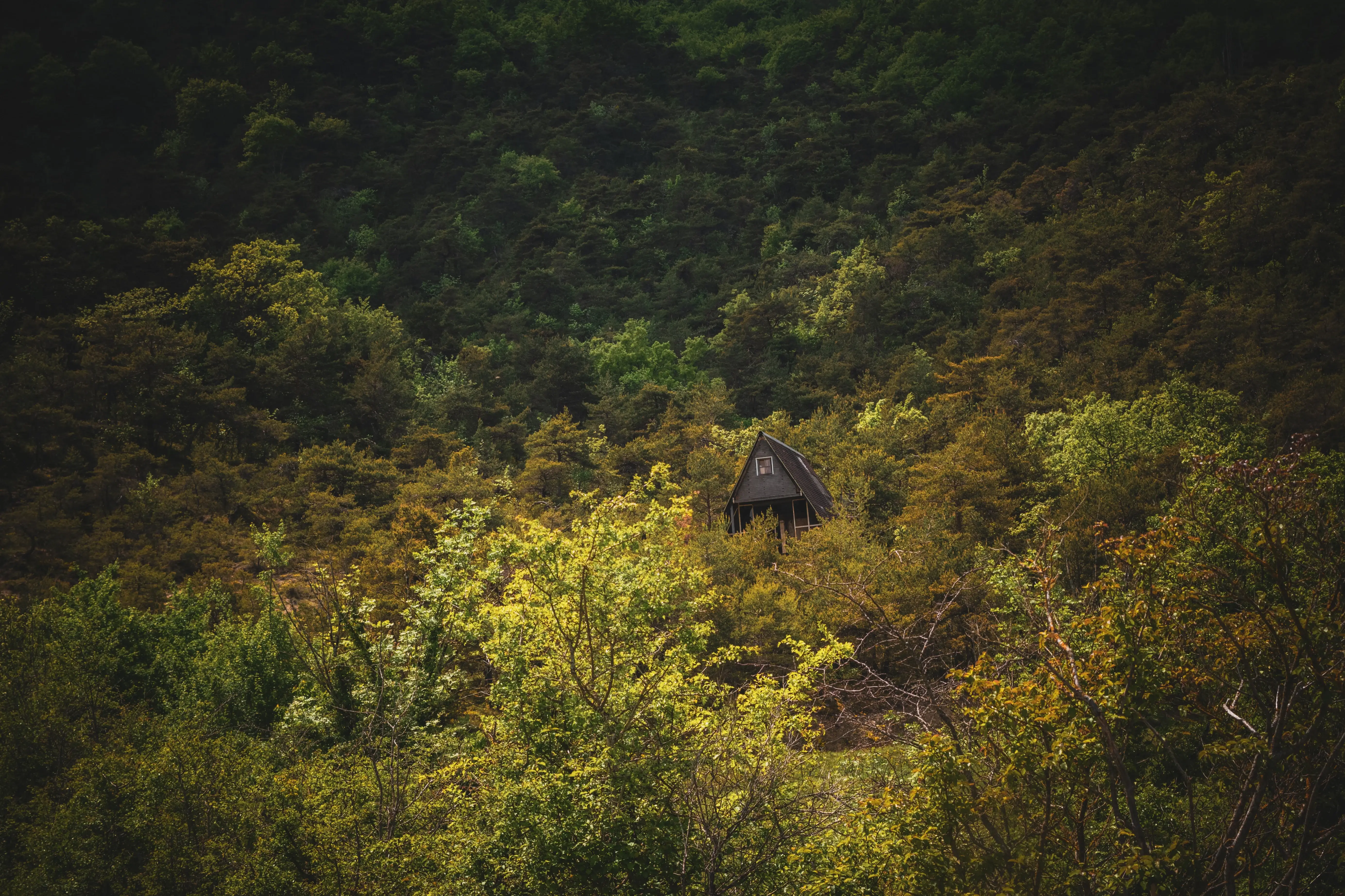 Photographie 7