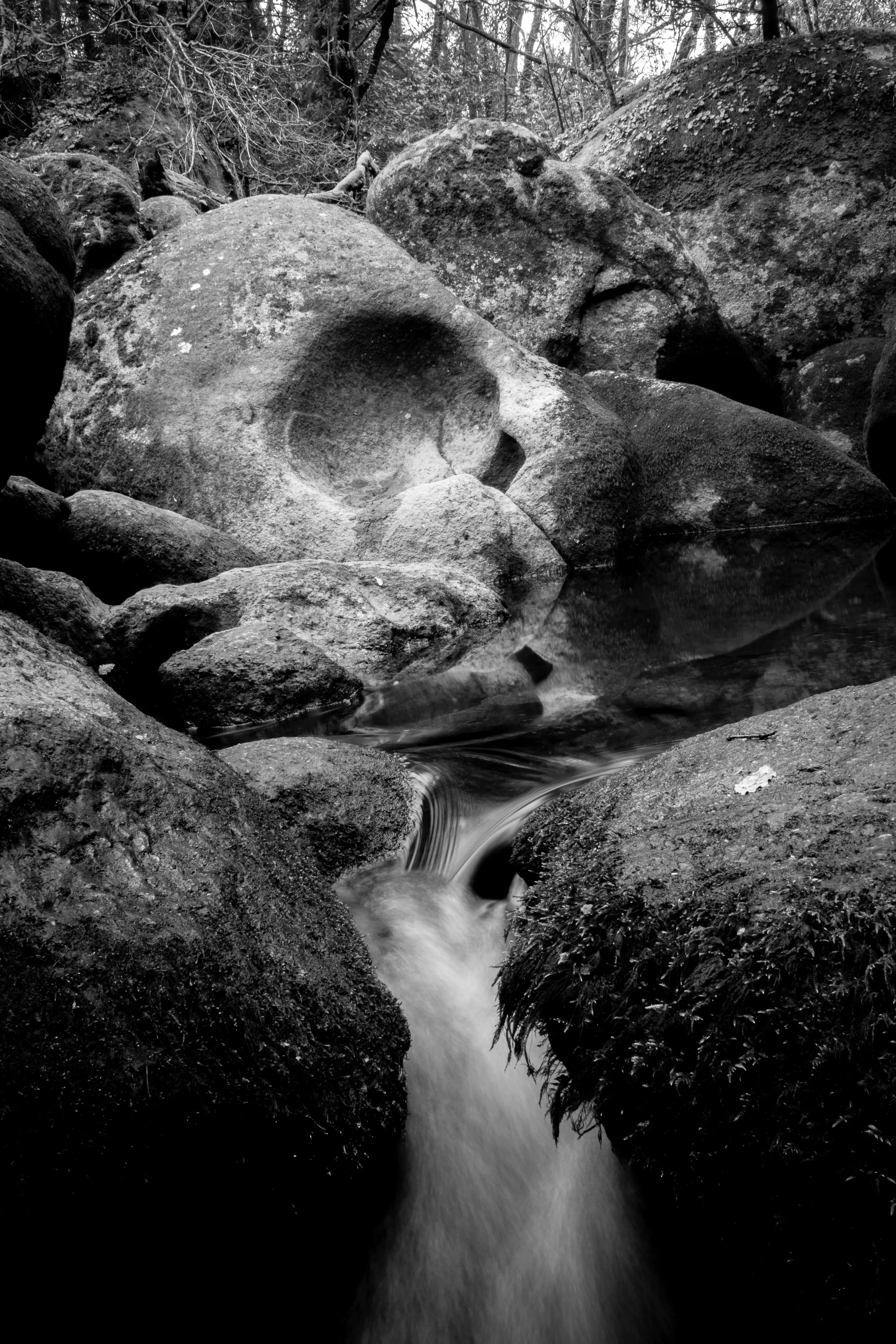 Photographie 8