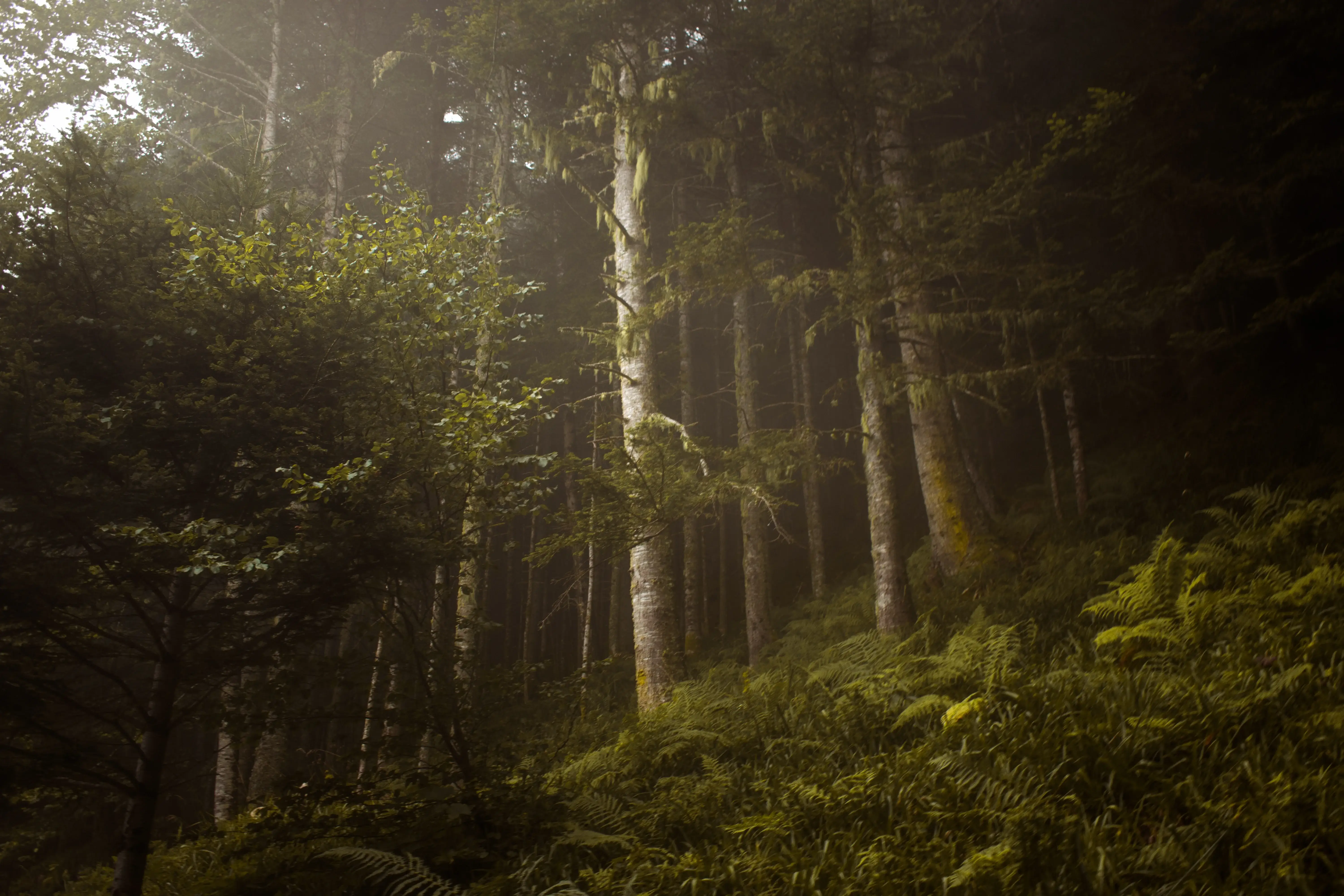Photographie 5