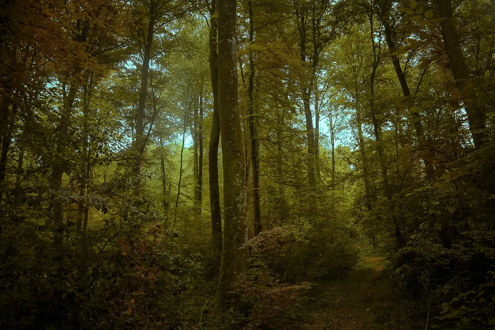 Photographie 10