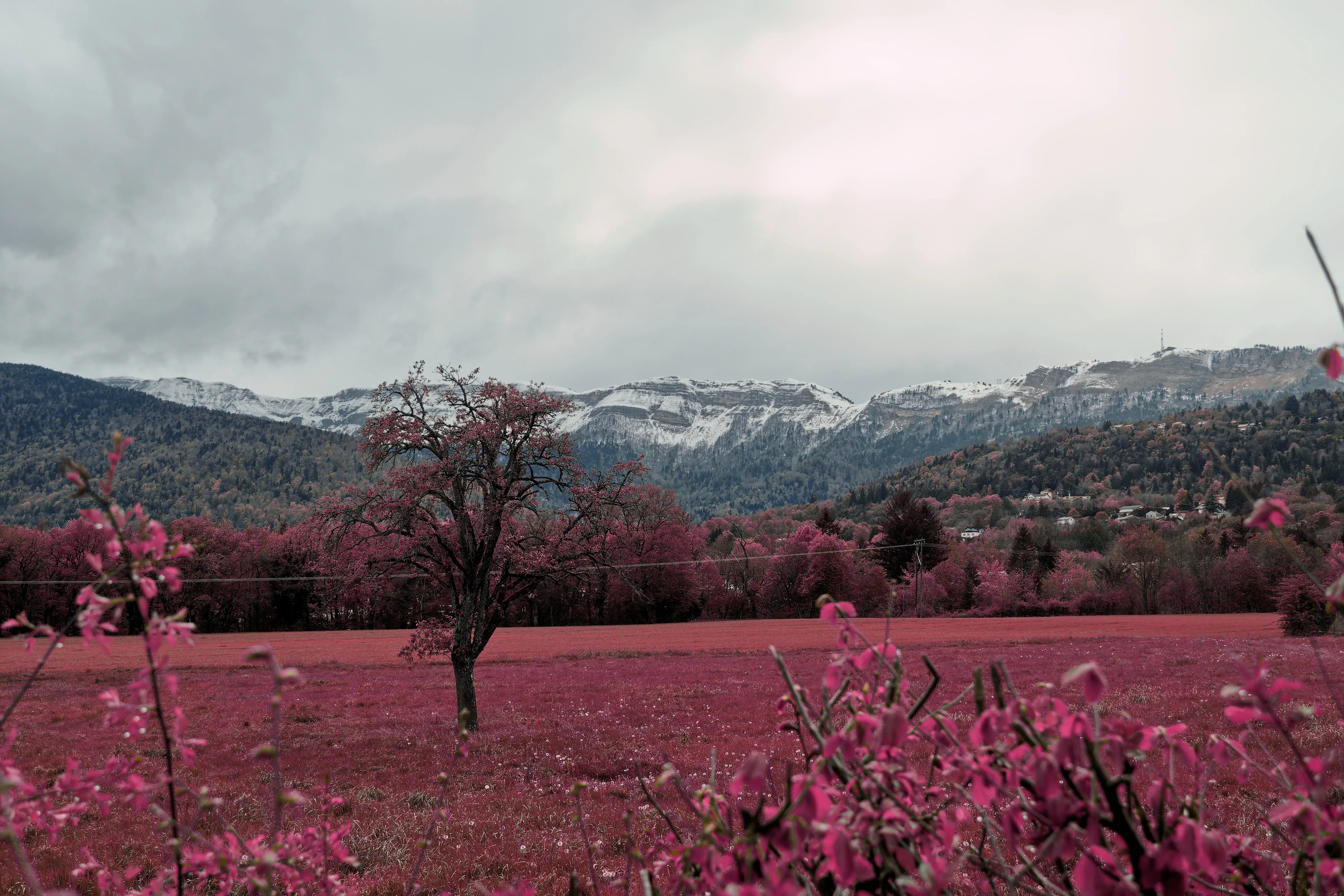 Photographie 1